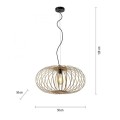 Lampa wisząca RACOON 11409-79 Leuchten Direkt