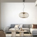 Lampa wisząca RACOON 11409-79 Leuchten Direkt