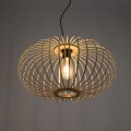 Lampa wisząca RACOON 11409-79 Leuchten Direkt