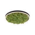 Lampa sufitowa GREEN RITUS 15391-66 Leuchten Direkt