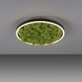 Lampa sufitowa GREEN RITUS 15391-66 Leuchten Direkt