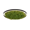 Lampa sufitowa GREEN RITUS 15392-66 Leuchten Direkt
