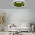 Lampa sufitowa GREEN RITUS 15392-66 Leuchten Direkt