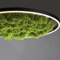 Lampa sufitowa GREEN RITUS 15392-66 Leuchten Direkt