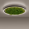 Lampa sufitowa GREEN RITUS 15392-66 Leuchten Direkt