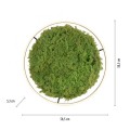 Lampa sufitowa GREEN RITUS 15392-66 Leuchten Direkt