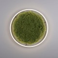 Lampa sufitowa GREEN RITUS 15392-66 Leuchten Direkt
