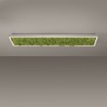 Lampa sufitowa GREEN KNUT 15623-66 Leuchten Direkt