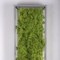 Lampa sufitowa GREEN KNUT 15623-66 Leuchten Direkt
