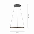 Lampa wisząca PURE E-LOOP Czarny LED 2700-5000K 2551-18 Paul Neuhause