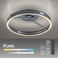 Lampa sufitowa PURE LOOP Szary LED 2700-5000K 6552-15 Paul Neuhause