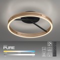 Lampa sufitowa PURE LOOP Czarny LED 2700-5000K 6552-68 Paul Neuhause